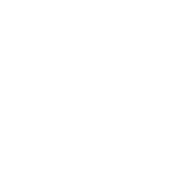 Graphic